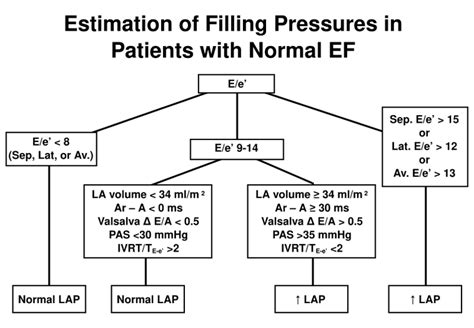 echopedia normal values